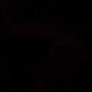 Meet your Posher, Albert